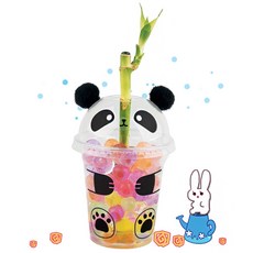 [메이크문구]M090 개운죽키우기 5인용