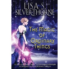 (영문도서) The Magic of Ordinary Things Paperback, Elusive Blue Fiction, English, 9781955197342