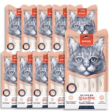 완피 크리미 퓨레 x 5P 고양이간식, 50개, 14g, 참치 + 연어 혼합맛