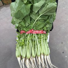 명품 울산열무 한 단 [1.5kg 내외], 1개