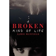 A Broken Kind of Life Paperback, Harmony Ink Press LLC, English, 9781627980999
