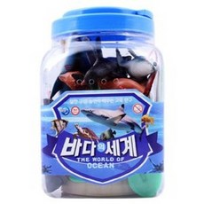 [미라클] 바다의 세계, 1개