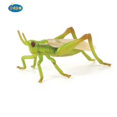 파포 (모형완구) 메뚜기 (50268), 1개