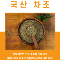 국산 청차조 좁쌀 메밀꽃유채향 영양 보충, 1개, 1kg