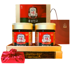 정관장 6년근 홍삼정 홍삼진고 기프트세트 500g 부모님 면력 추석 명절 선물세트 1개, 1세트
