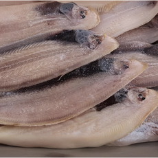 산지직송 HACCP인증 반건조 박대 제수용 생선 구이용 조림용, 10개, 200g(39cm내외)