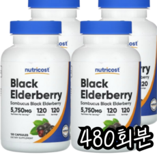 뉴트리코스트 엘더베리 575mg 캡슐, 480회분, 1개
