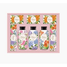 엘지생활건강 보타닉 퍼퓸에디션 P호 선물세트, 4개