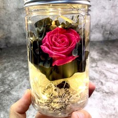 永生玫瑰花 乾燥花 聖誕節 情人節 兔尾草 禮物 玫瑰 卡斯比亞 花罐 禮盒 LED燈串 婚禮小物 畢業花束 畢業禮物, H、艷粉 (無燈)