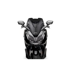 義大利 MALOSSI 燻黑短風鏡 FORZA350 專用, 1個, Black