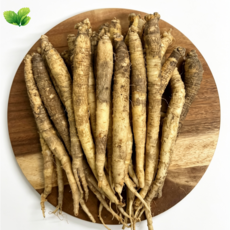더덕 (소사이즈 ) 신선더덕 세척더덕 피더덕 중국산더덕 수입더덕, 1개, 1kg