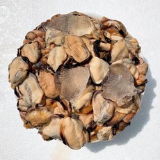 [마산 락이수산] 당일채취 생물 깐홍합살 1kg / 손질 세척/ 홍합살 / 냉장, Hi01 안녕홍합 500g, 1박스