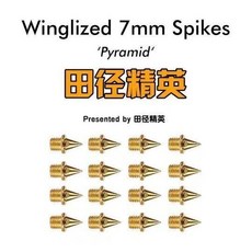 田徑釘鞋鞋釘短釘尖釘長釘碳釘塔釘跳釘鋼釘 副廠商品, 1個, 金色鋼尖釘,14顆釘子+  比賽訓練一體專用, 金色鋼尖釘