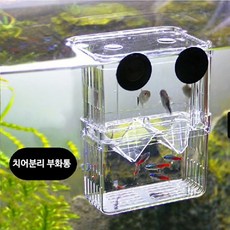 신바람 유메이 부화통 소 S 구피 부화통, 1세트