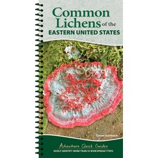 (영문도서)Common Lichens of the Eastern United States: Easily Identify 58 Widespread Types Spiral, Adventure Publications, English, 9781647556006