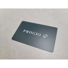 푸르지오 아파트카드키 도어락 공동현관문 복사가능 신용카드형 카드키, 신 푸르지오 신용카드형
