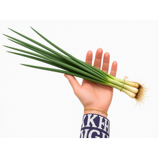 국내산 제주 쪽파 1kg 흙쪽파 흙파 깐쪽파 [제주바람농원], 1개