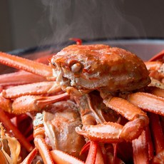 후포리 박달홍게 최상급 4kg [수율90% 이상] [UGG], 1개, 4kg  [8-10미]