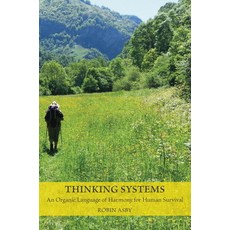 (영문도서) Thinking Systems Paperback, Triarchy Press Ltd