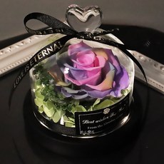 永生花情人節禮物 玻璃罩擺件 可保存3-5年, 新款愛心玻璃罩彩色 禮盒 禮袋