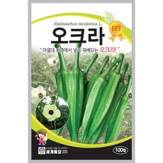 세계종묘 오크라 100립, 2개