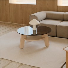 파르르맨션 방수 거실 러그 사계절 워셔블 먼지없는러그 카페트