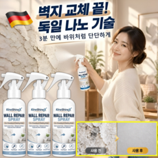 독일기술 벽면 가루날림 방지 초강력 나노 침투 표면강화제 스프레이 벽지 보수 페인트 스프레이 옥상 타일 화장실, 1박스, 100ml, 투명