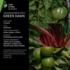 태국 카르마카멧 핸드 25ml 6가지 향, E. 그린 던  토마토 잎 루바브 베르가못, A. 25ml