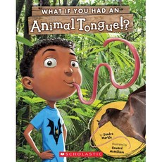 (영문도서) What If You Had an Animal Tongue!? Paperback, Scholastic Inc.