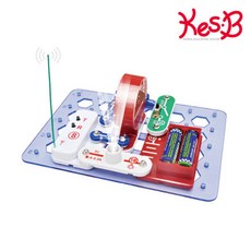 [캐스B]네이처 척척박사전기회로FM라디오(2169), 1개