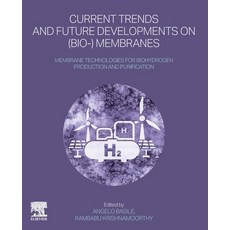 (英文圖書)Membrane Technologies for Biohydrogen Production and Purification 平裝版, Elsevier, 英文