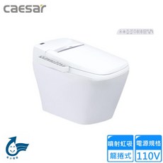 CAESAR 凱撒衛浴 智慧馬桶 CA1381 噴射虹吸龍捲式沖水, 需/建議專業人員安裝