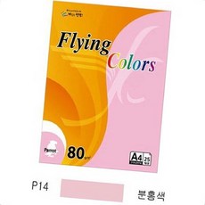 디자인용지 필기용지 플라잉컬러 패럿 A4 80g 분홍색 25매 미색 컬러색지 프린트
