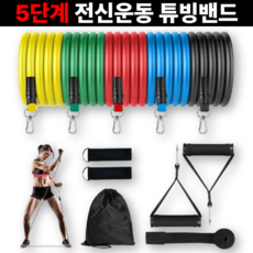 데일리퍼블릭 튼튼한 전신 운동 고탄력 튜빙밴드 5단계 세트, 1세트, 혼합색상