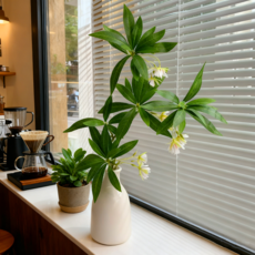 에이치엠데코 조화 화분 세트 조화 가지+도자기 화병 인테리어 소품 조화 장식, 1개, 파키라