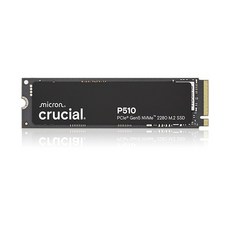 마이크론 마이크론 Crucial P510 M.2 NVMe 아스크텍 (1TB)