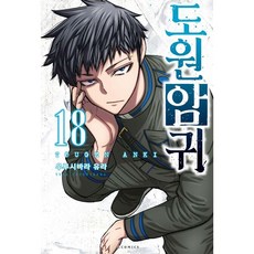 도원암귀 18