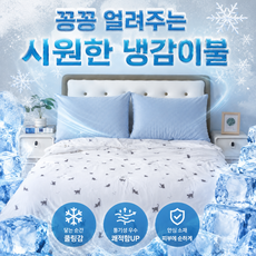 하나침장 시원한 냉감이불 슈퍼쿨 아이스 냉감사 양면100 차렵이불 S(싱글)1500, 03