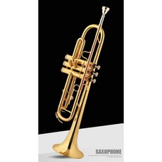 플라스틱 소형 플라스틱트럼펫 플랫 트럼본 BB 나팔 도금 휴대용 교육용 스타일 초보, 특선/모넬 학생 가선, 1개