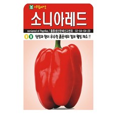 소니아레드 씨앗 피망 종자 씨