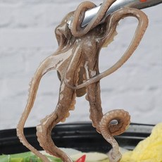 수락수산 [수락수산] 뻘에서 잡은 활낙지 3미(중사이즈/1미 100-120g내외), 3개