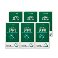 리얼그램 미국산 고순도 99.96 MSM 엠에스엠 식이유황 글루코사민 비타민D 관절 연골 뼈 영양제, 6개, 60정