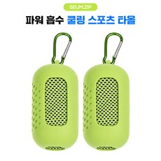 세움집 파워 흡수 스포츠 쿨타올 1+1 등산 헬스 러닝 운동용 땀수건 야구직관템, 1세트, 그린