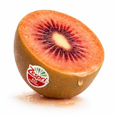 [당일발송] 제스프리 루비레드 키위 고당도 프리미엄 레드키위, 1박스, 75g 내외 (실속형) 10입