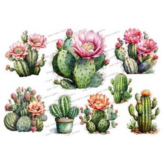 TF-花草 水轉/熱轉/水晶貼/藝術紙 仙人掌圖案, 1個, 藝術紙-A4