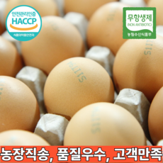 [바오름농장] 국내산 친환경 계란 대란 에어포장, 1세트, 30구