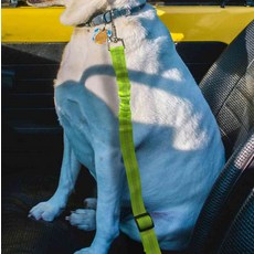 늘DIX 차량 강아지 안전 벨트