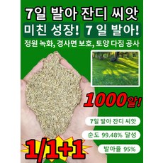 1/1+1[슈퍼 성장]7일 발아 잔디 씨앗 고급 사계절 잔디 씨앗 작은 주머니에 잔디 씨앗을 담다 1천알 고급 사계절 잔디 씨앗 산소용 원예용 골프장 축구장 1000알, 1개