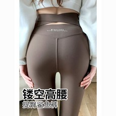 鯊魚褲女款 高腰提臀顯瘦瑜伽褲 臺灣出貨