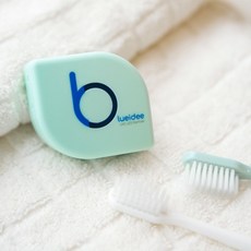 블루아이디 UVC-LED 휴대용 칫솔살균기 BI-TS1, 민트